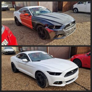 490976931_1236188541844233_559632834416761770_n